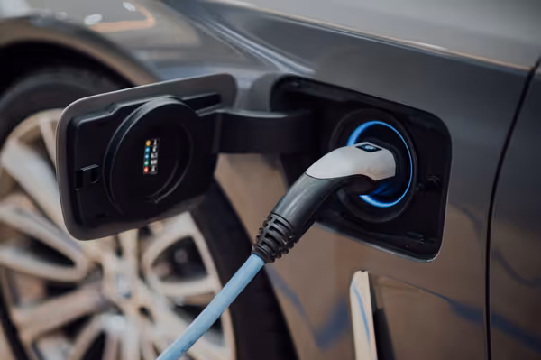 Performance EVs